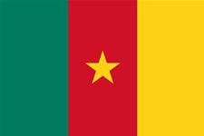 Flag of Republic of Cameroon