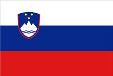 Flag of Republic of Slovenia 