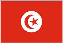 Flag of Tunisian Republic