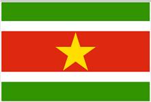 Flag of Republic of Suriname
